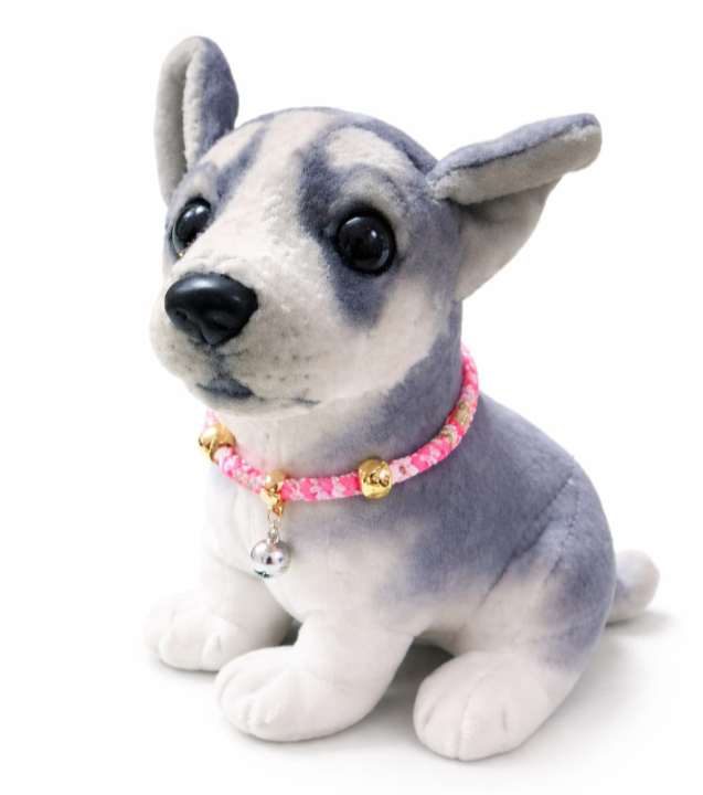 COLLAR PARA MASCOTAS