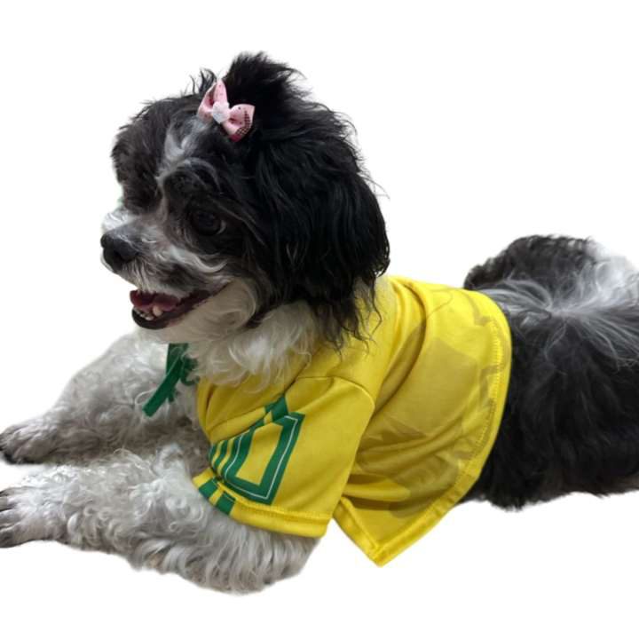 CAMISETAS BRASIL PARA MASCOTAS