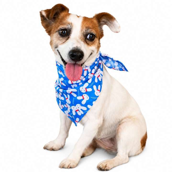 PAÑOLETA PARA MASCOTAS TALLA XS