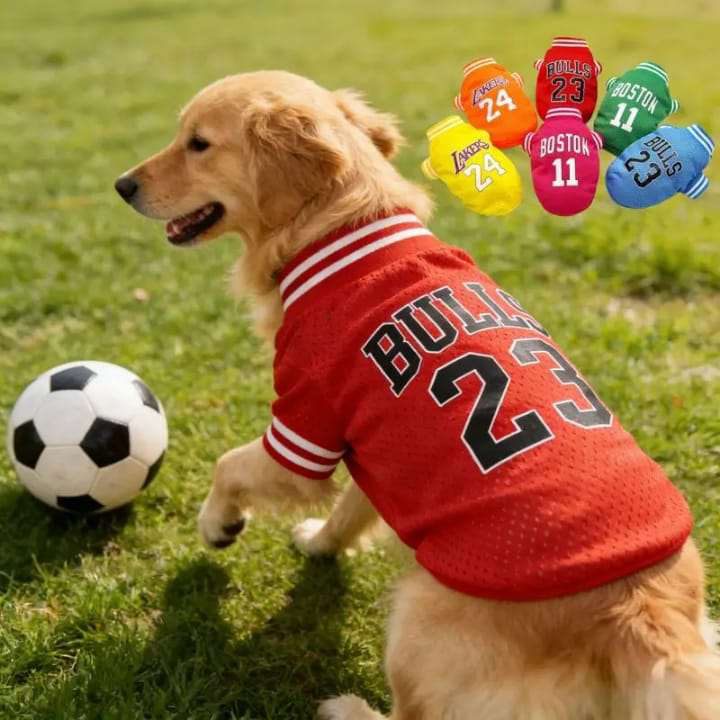 ROPA PARA MASCOTA
