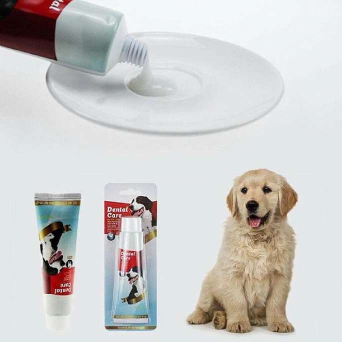 CREMA DENTAL