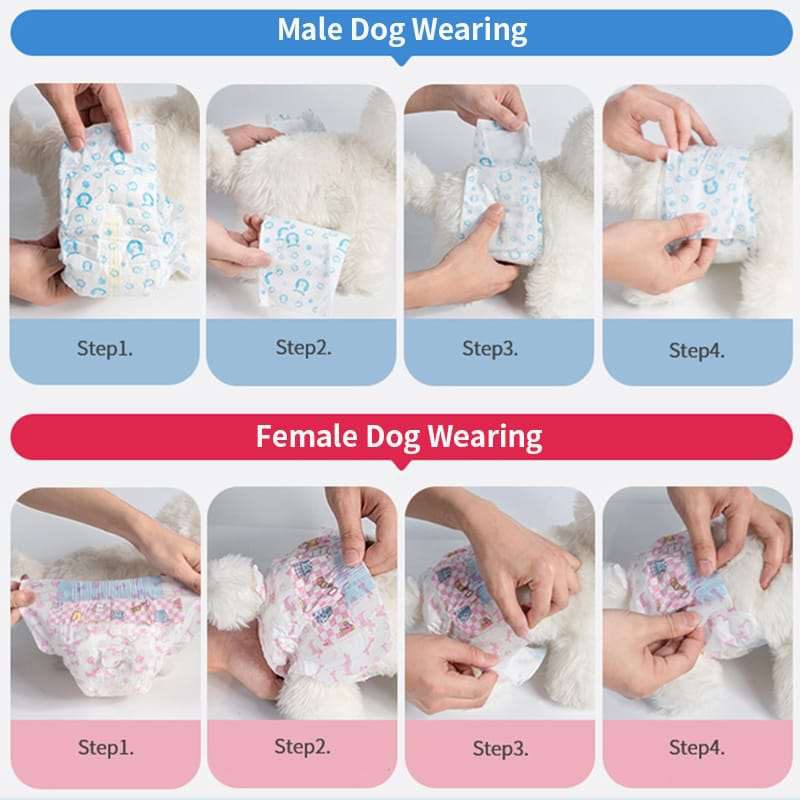 PAÑAL ABSORBENTE TALLA S X12 AZUL MACHO