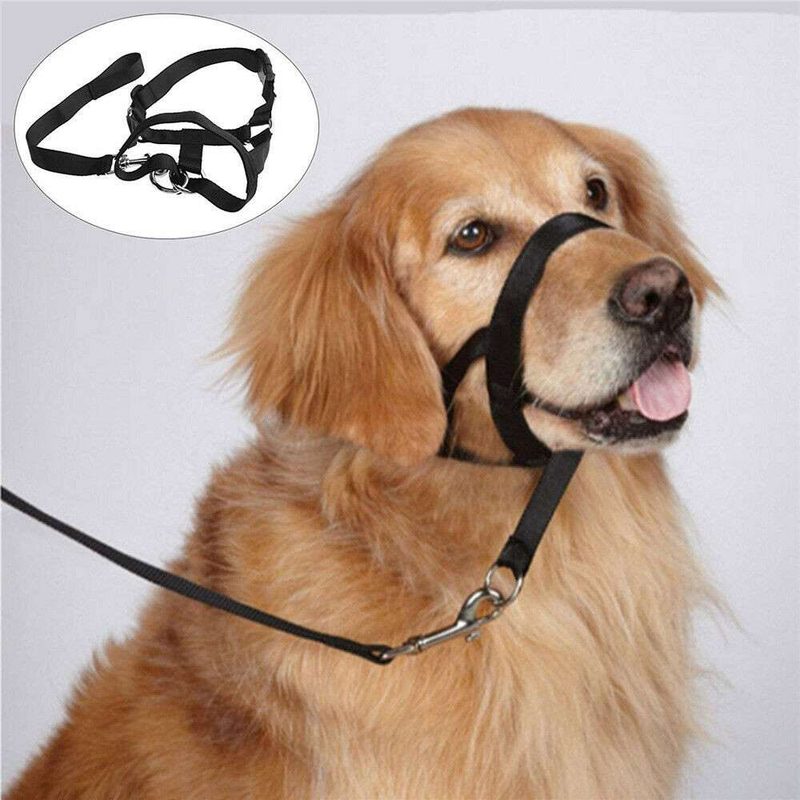 BOZAL COLLAR DE ENTRANMIENTO